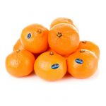 clementina fontestad