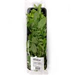 hierba buena bandeja