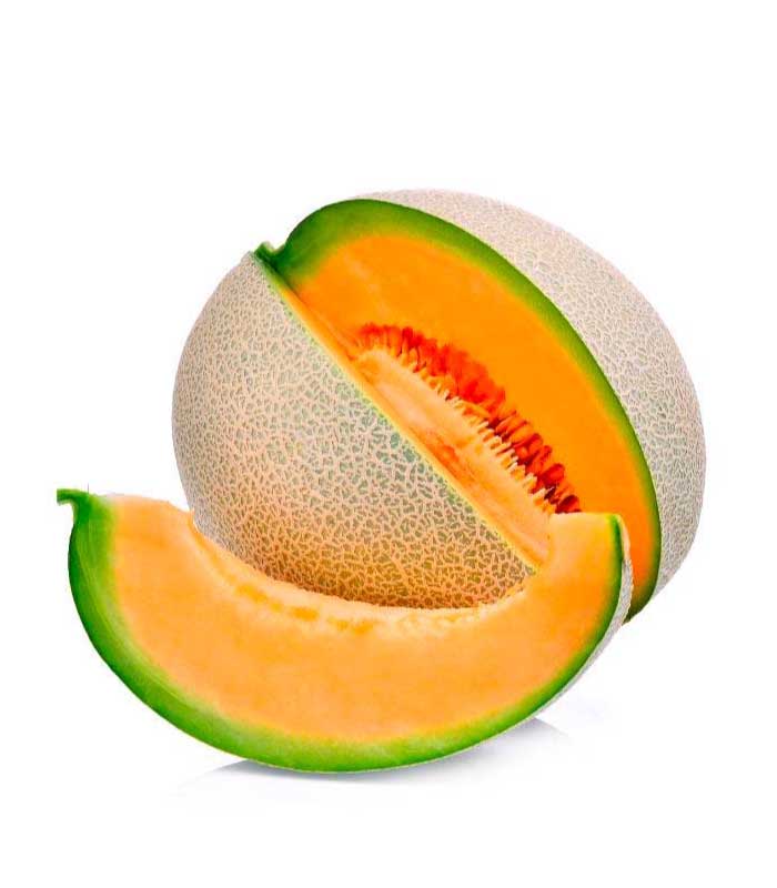 melon cantalupo