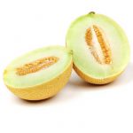 melon galia primera