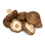 seta shiitake