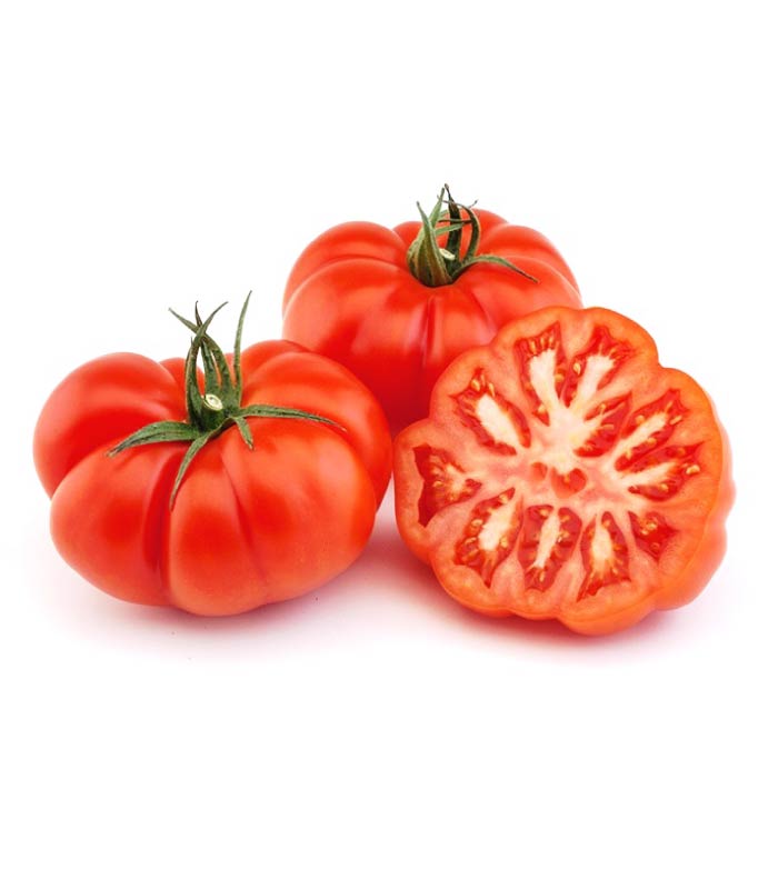 tomate rebellion