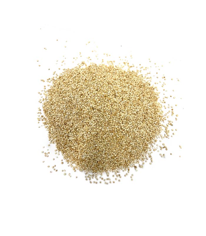 quinoa blanca semillas