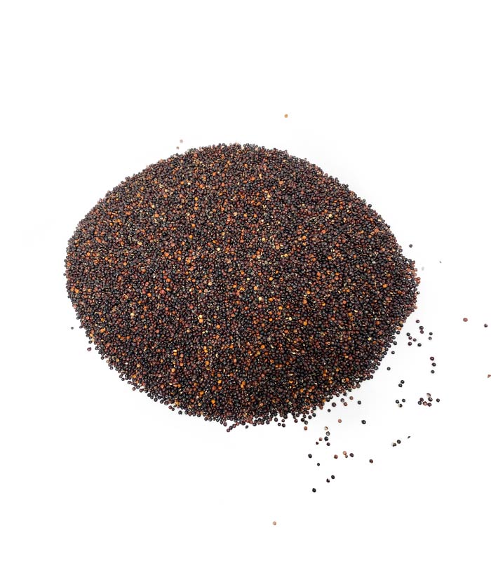 quinoa negra semillas