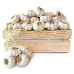 Ajos caja hostelería