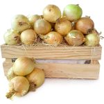Cebollas Caja hostelería