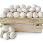 Champiñón caja hostelería