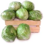 Lechuga Iceberg caja hostelería