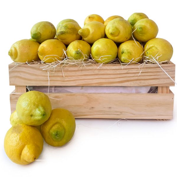 Limones caja hostelería
