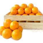 Naranjas Zumo caja hostelería