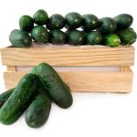 Pepino caja hostelería