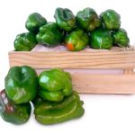 Pimiento verde Lamuyo caja hostelería
