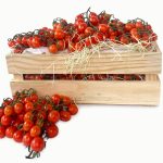 Tomate Cherry caja hostelería