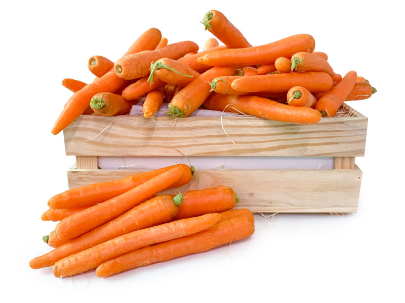 Zanahoria caja hostelería