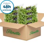 Canonigos Florette Caja 1 Kg