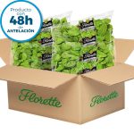 Rúcula Florette Caja 1 Kg